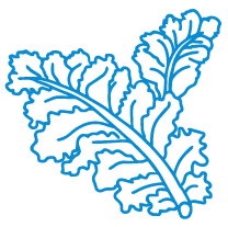 Kale